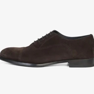 Oxford in suede marrone con puntale